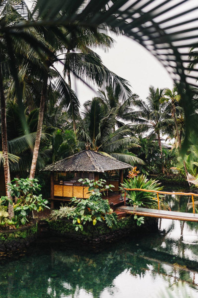 Parliament Speaker, Foreign Minister React to EU Freezing Aid to Georgia Parliament Speaker, Foreign Minister React to EU Freezing Aid to Georgia